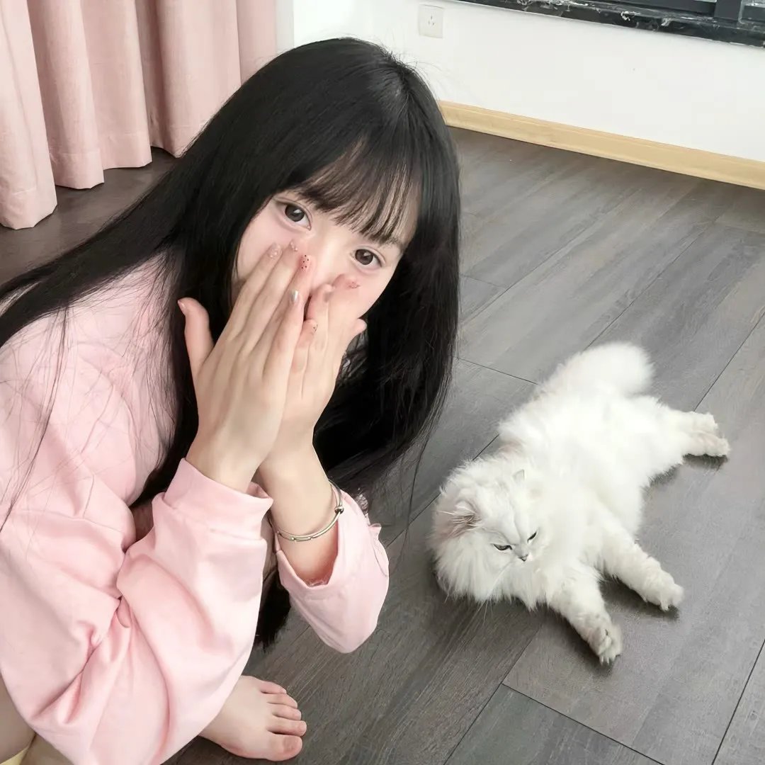 大夏境内，神灵禁行